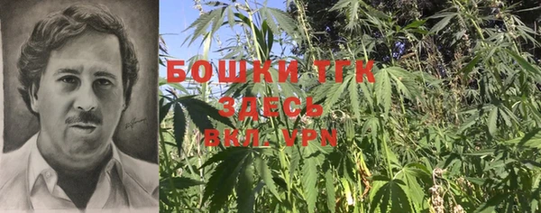 ECSTASY Карпинск