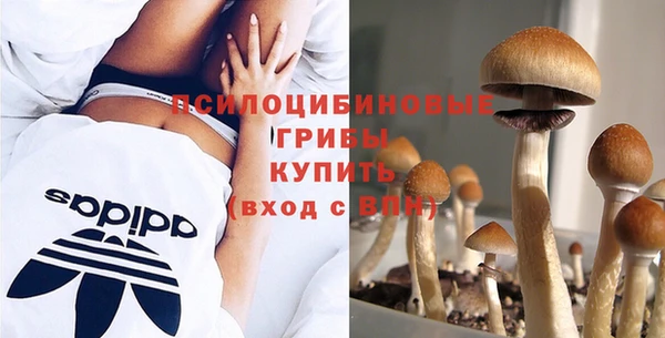 jwh Касимов
