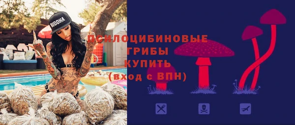 прущие крисы Каменка