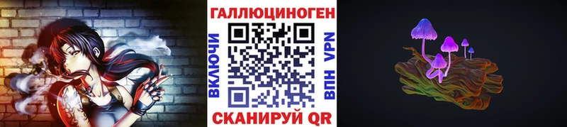 Галлюциногенные грибы Psilocybe  Купить где  Чернушка 
